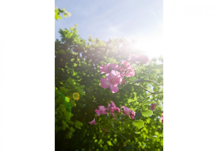 Parc Floral de La Roseraie