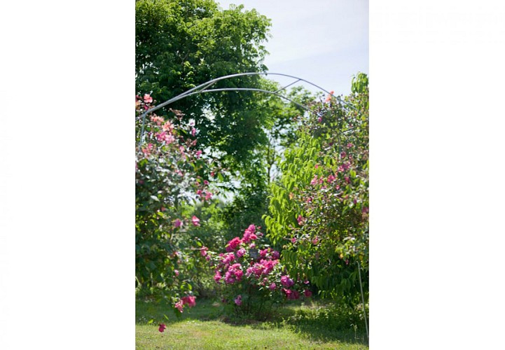 Parc Floral - La Roseraie_3