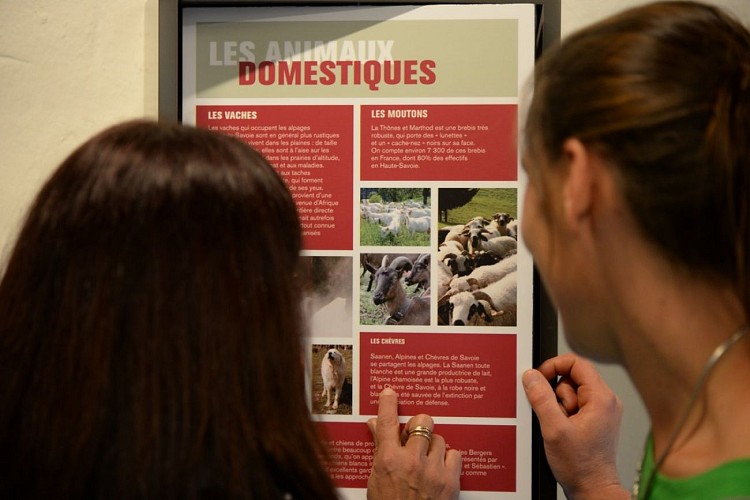 Maison du Lieutenant