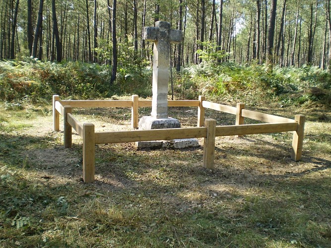 Forêt domaniale de Moulière_4