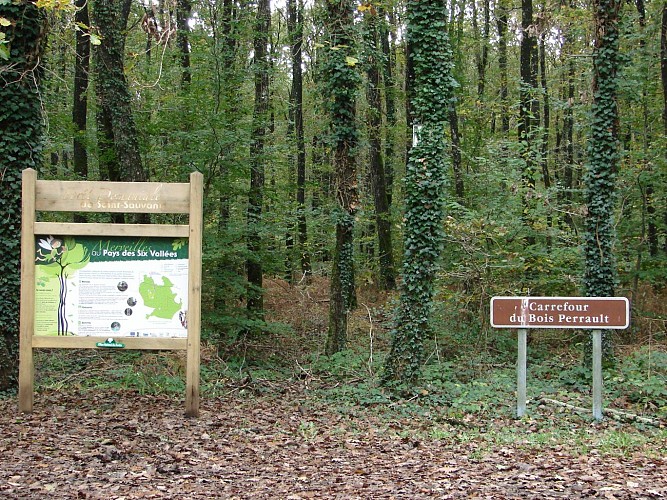 Forêt domaniale de Saint-Sauvant_2