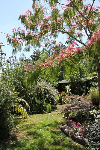 Le " bar à nectar " pour les pollinisateurs