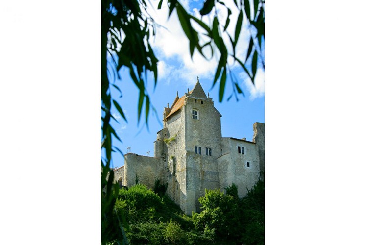 Château d'Harcourt
