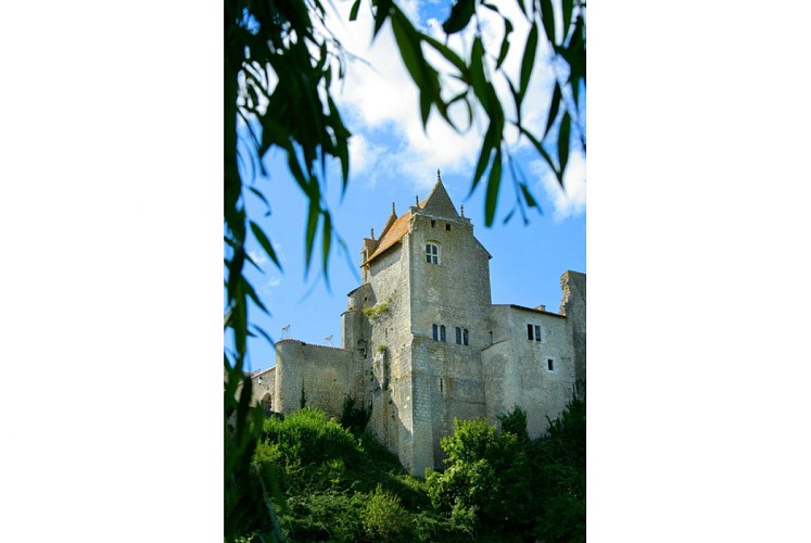 Château d'Harcourt_2