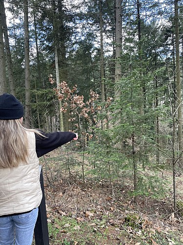 Forêt pédagogique du Grandbeau