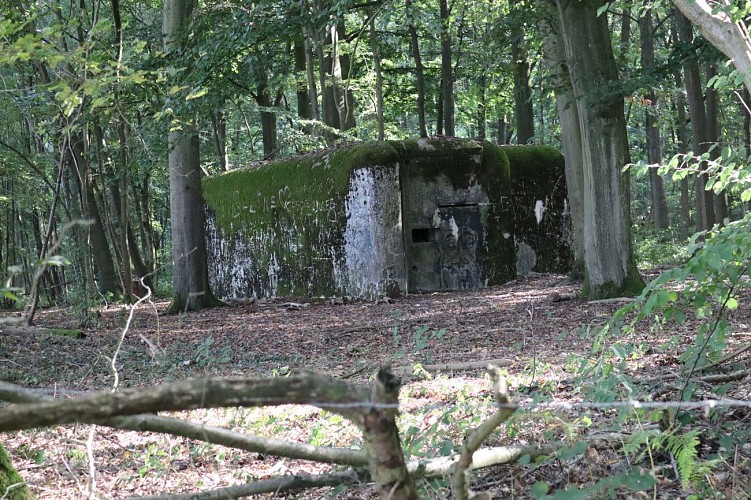 Bunker du bois de Beumont