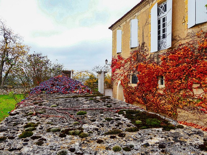 Le Château de Monluc