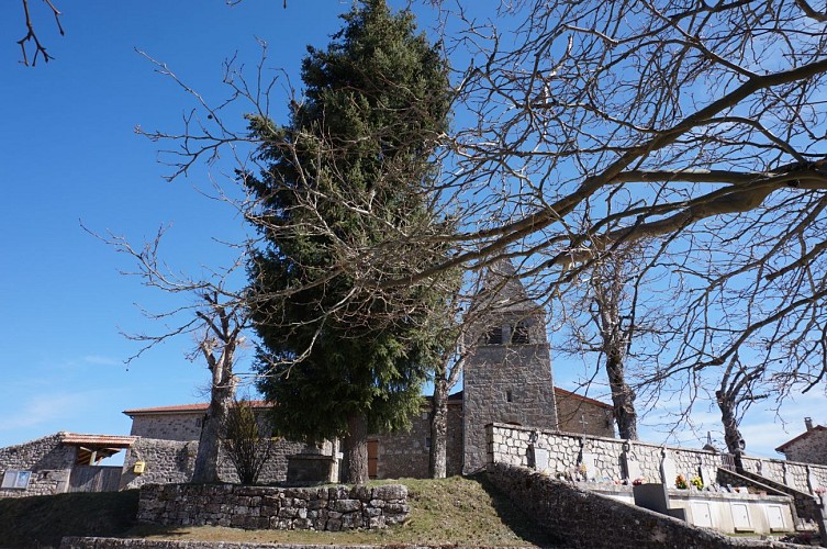 Eglise et son plafond remarquable