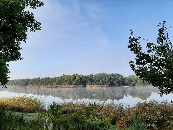 Etang des Bois ©C.Cardon (4)