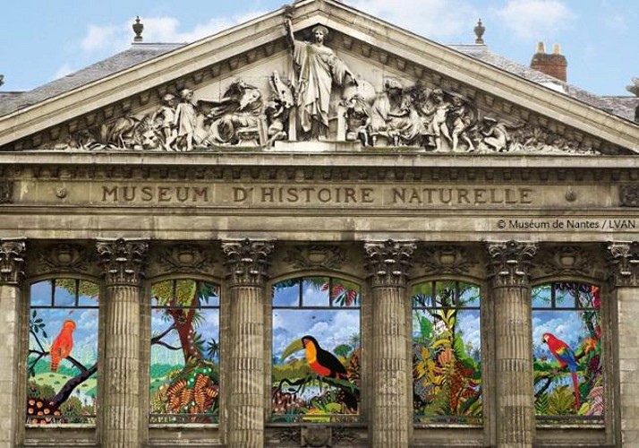 Pass Nantes : visites, activités, musées et transports inclus