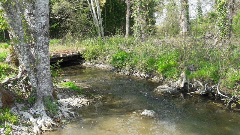 aire-de-pique-nique-saint-germain-du-salembre 