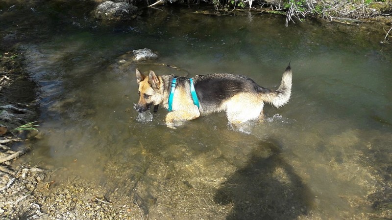 aire-de-pique-nique-saint-germain-du-salembre (3)