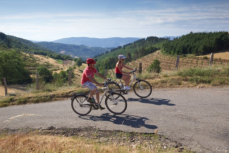 Location de vélos à assistance électrique