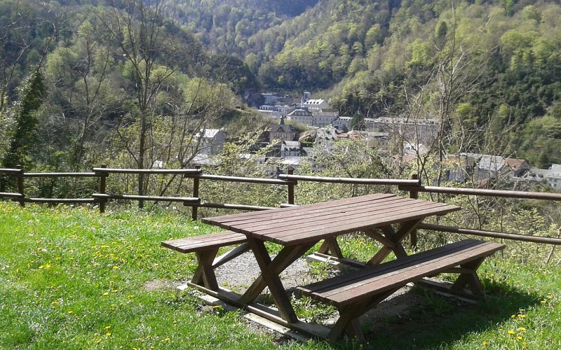 AIRE 1440PIC NIC AAS D'AAS