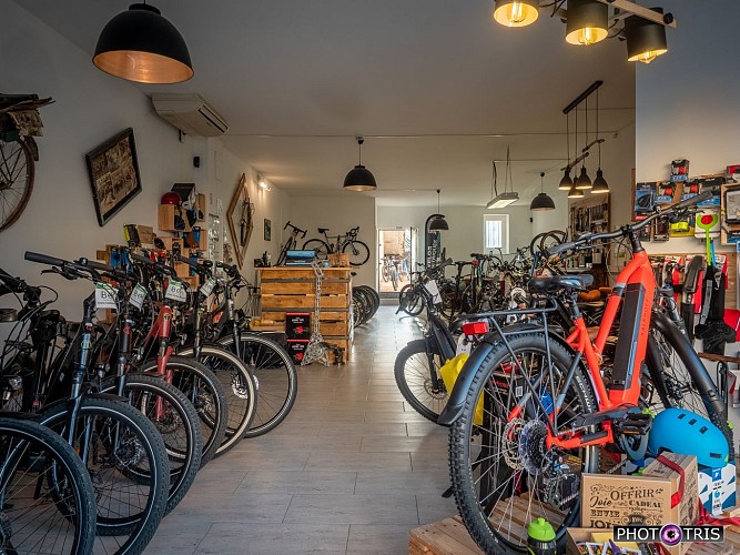 Station Bee's - sale & rental of electric bikes