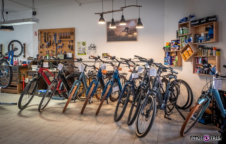 Station Bee's - sale & rental of electric bikes