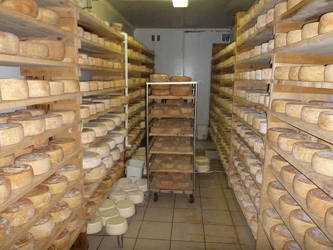 Sauvagnon Ferme Lou Viens cave de vieillissement