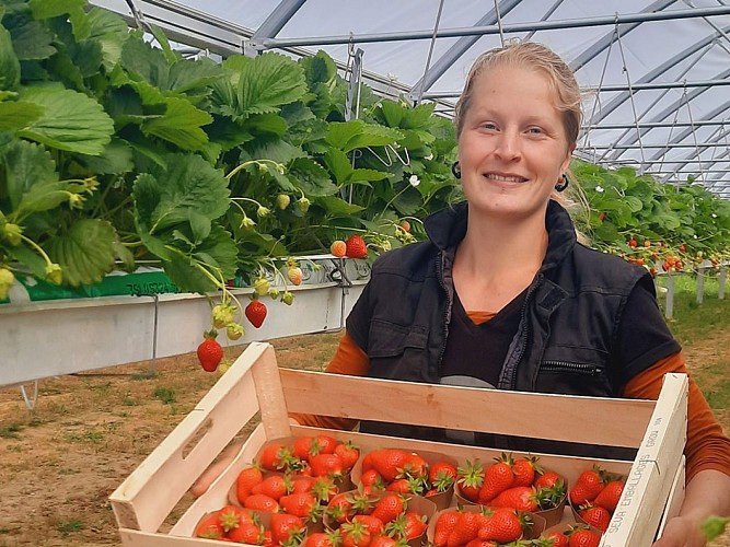 ÉLEVAGE DES ARONDES