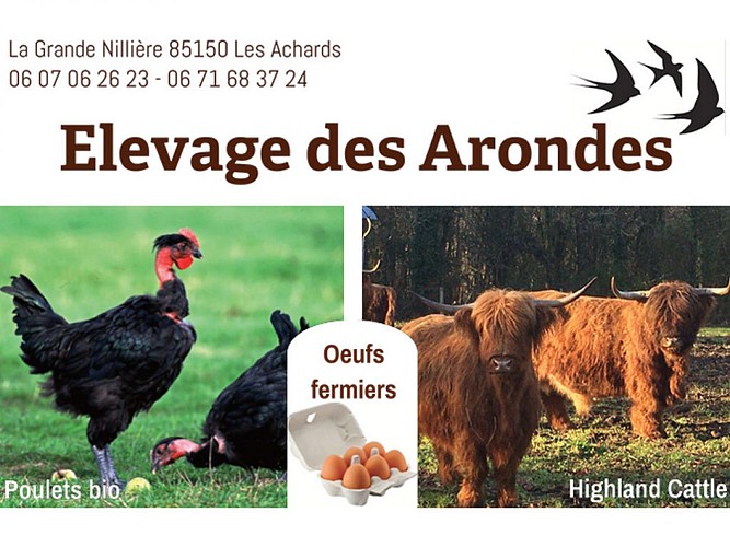 ÉLEVAGE DES ARONDES