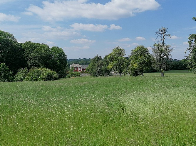 Pelouse pour pique-nique