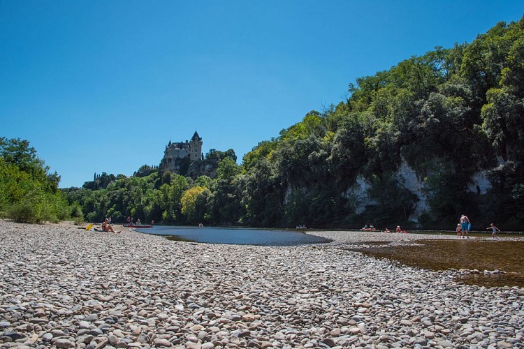 Montfort SD Dan Courtice (40)