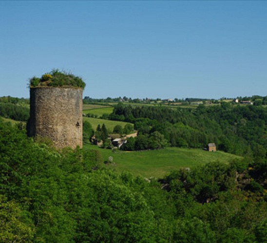 Tour de Castelnau (ruines)