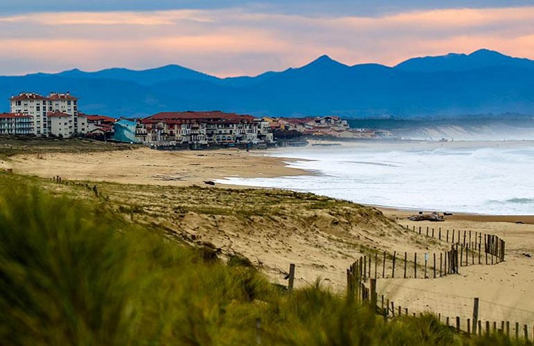 hotel-de-la-plage-hossegor---plage-centrale-770