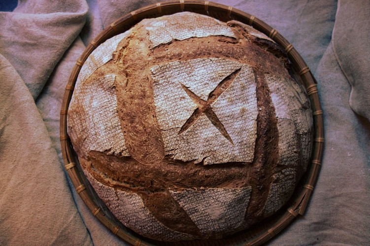 miche-farine-bio-levain