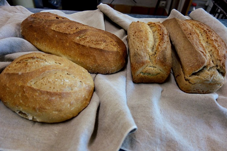 pain-bis-bles-anciens-bio