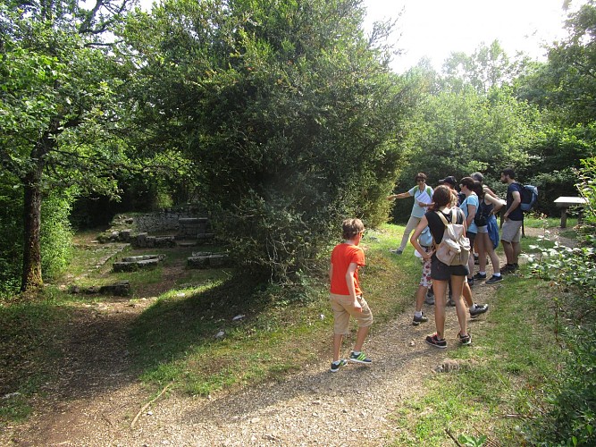 Les pelouses sèches - Site Natura 2000