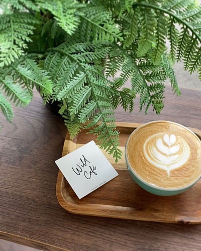 Wild Café