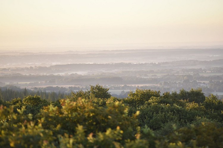 Belvédère du Mont des Avaloirs