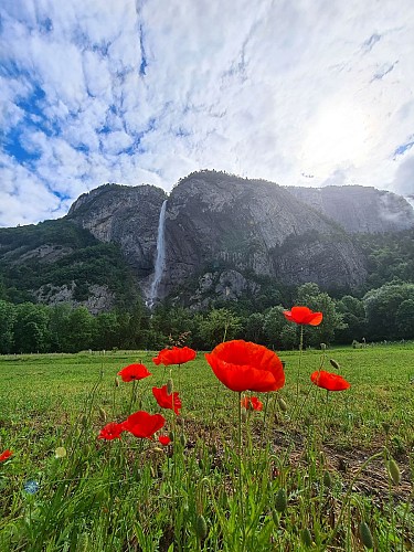 La Cascade d'Arpenaz (waterfall)