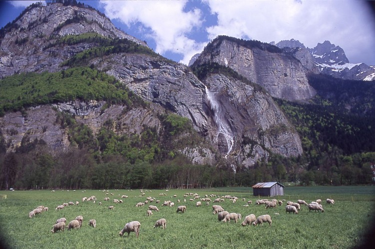 La Cascade d'Arpenaz (waterfall)