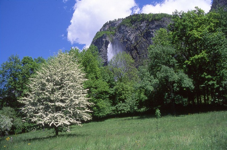 La Cascade d'Arpenaz (waterfall)