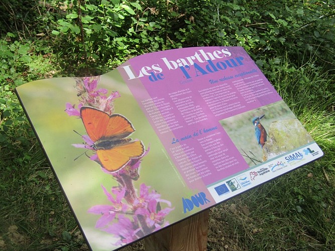 Sentier de l'Adour - panneau Gousse