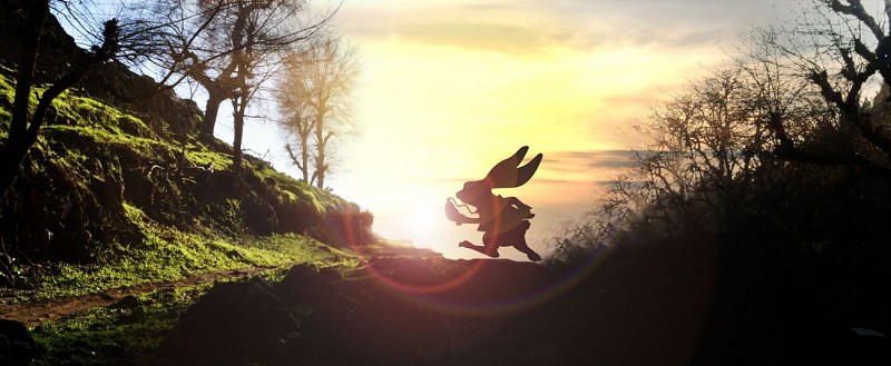 Image-Alice