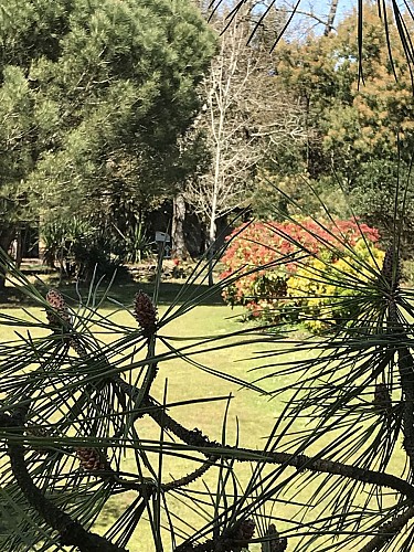 CHAMBRES D'HÔTES LE 25 L'OCEAN