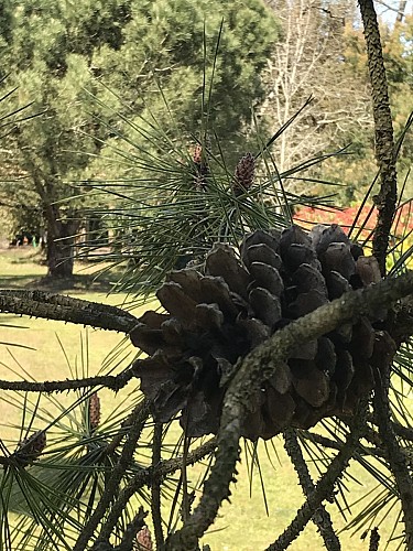 CHAMBRES D'HÔTES LE 25 L'OCEAN