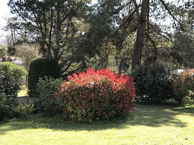 CHAMBRES D'HÔTES LE 25 L'OCEAN