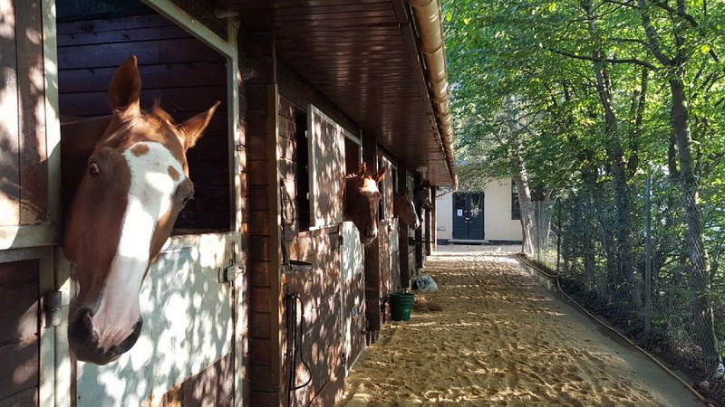 Stables of the Faisanderie: horse camps, riding school