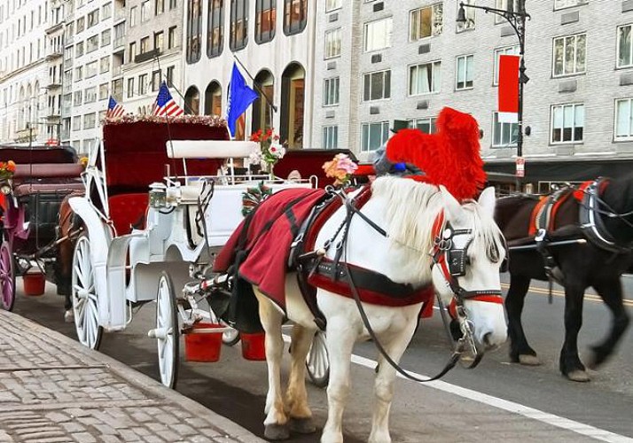 Horse-Drawn Carriage Tour of Historic Philadelphia – 1 hour