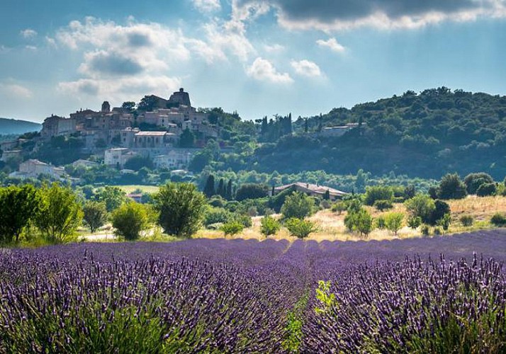 Découverte des villages du Luberon et dégustation de vin des Côtes de Provence