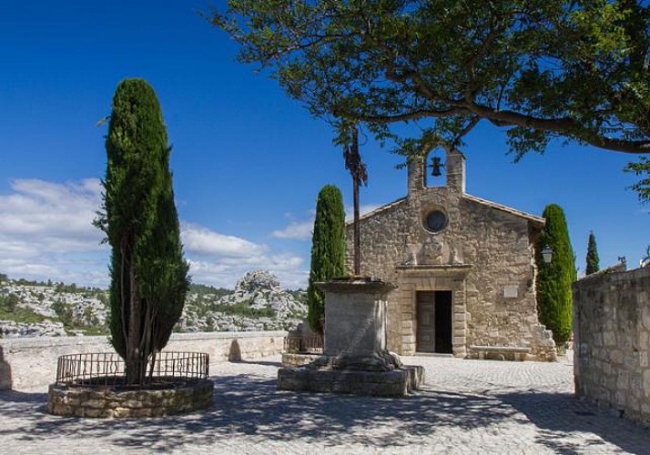 A la découverte de Van Gogh : visites de Saint Remy de Provence, Saint-Paul de Mausole, Les Baux et Arles