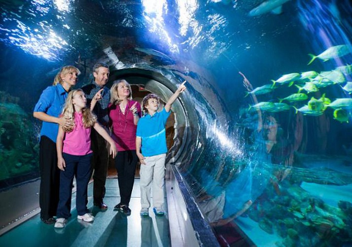 Skip-the-Line Tickets to the Sea Life Aquarium – Orlando