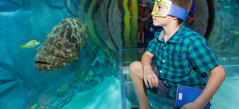 Skip-the-Line Tickets to the Sea Life Aquarium – Orlando