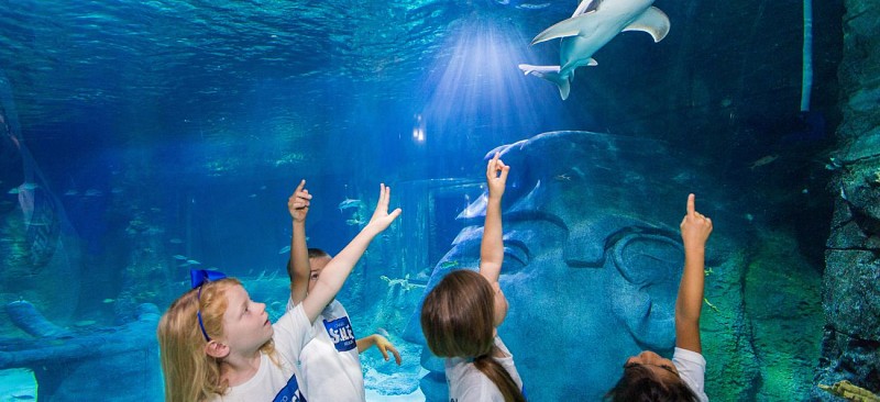 Skip-the-Line Tickets to the Sea Life Aquarium – Orlando