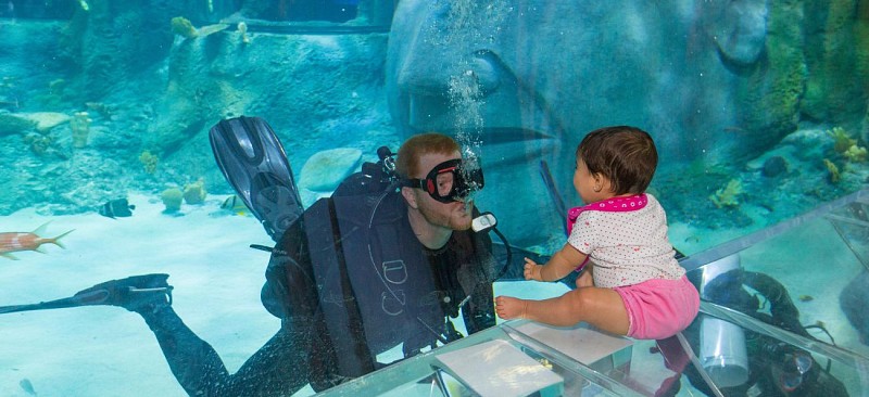 Billet coupe-file Aquarium Sea Life - Orlando