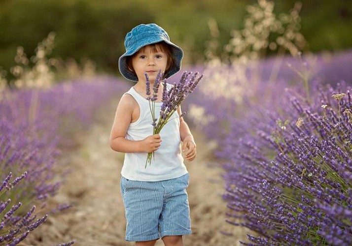 Provençal Excursion: Discover the lavender fields and the hilltop villages