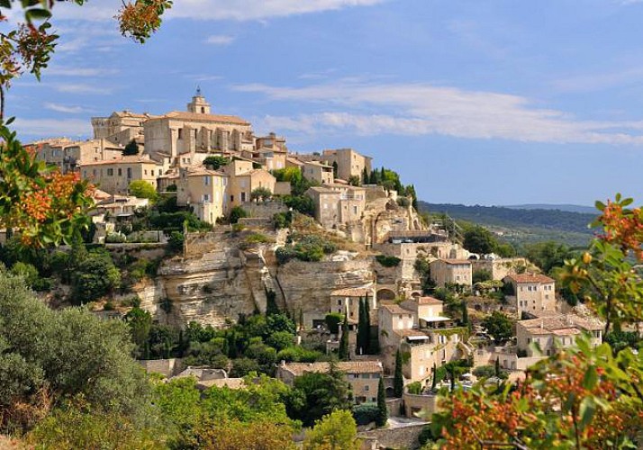 Provençal Excursion: Discover the lavender fields and the hilltop villages